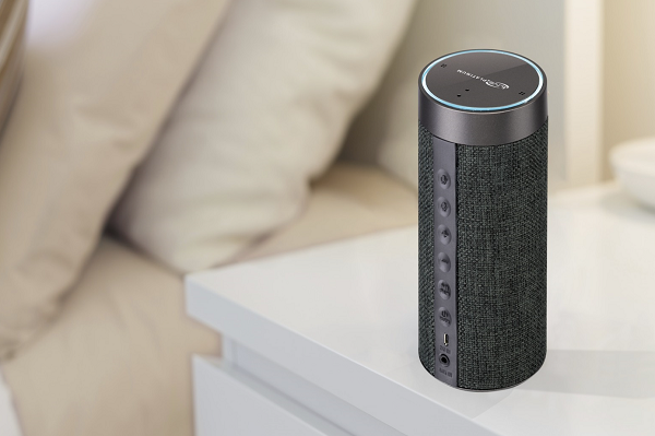 Alexa wireless hot sale speaker